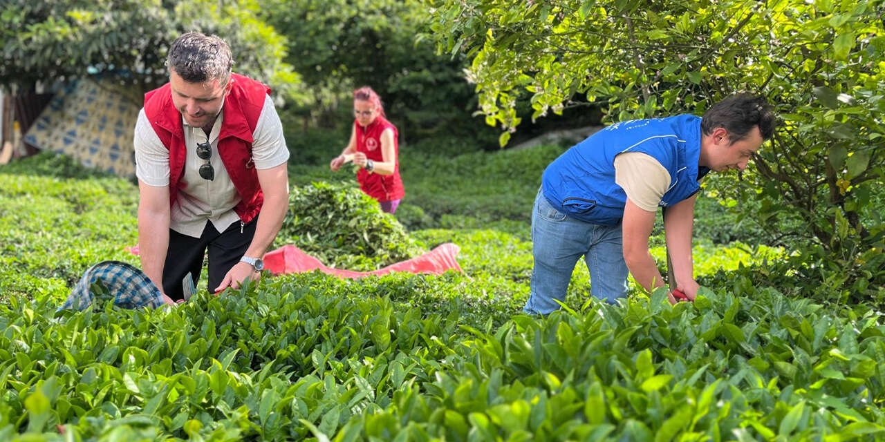 haydi-gencler-kirikkalede-hasat-vakti-3