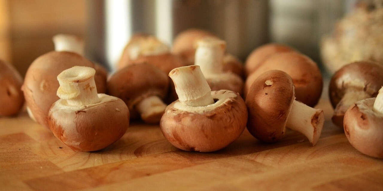 kirikkalede-dogadaki-buyuk-tehlike-caninizdan-olabilirsiniz-3