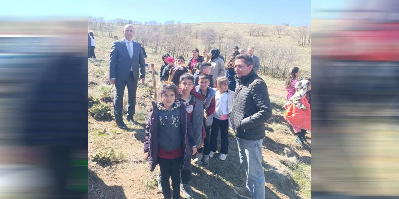 celebide-fidanlar-toprakla-bulustu3