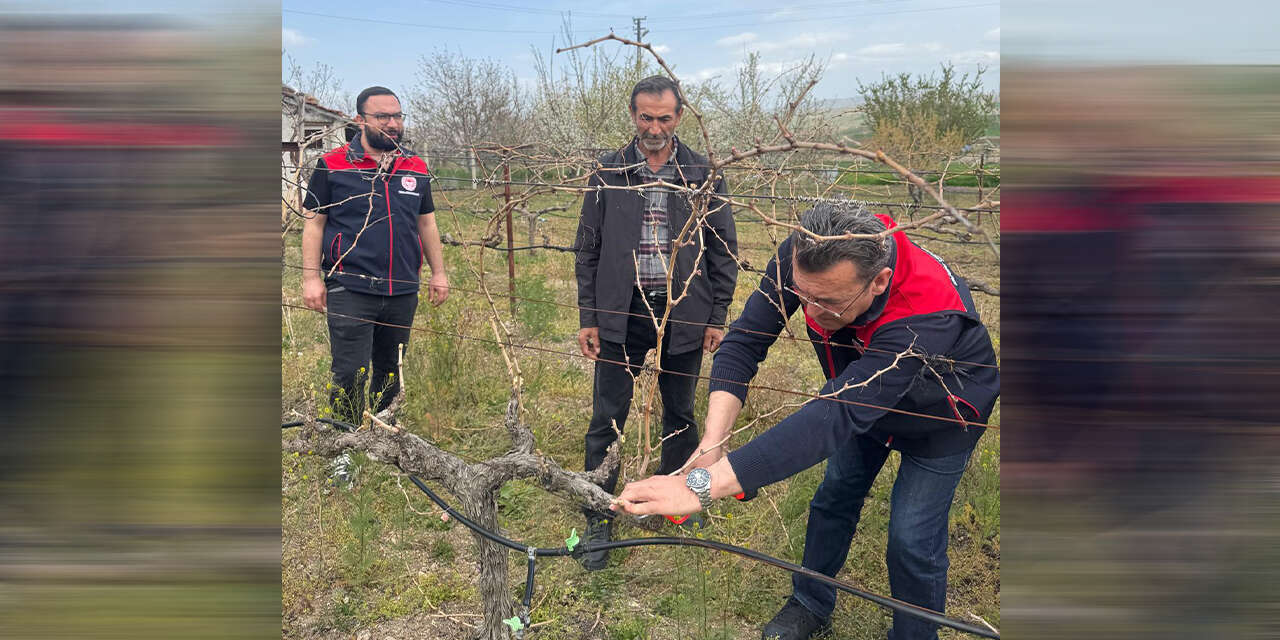 ureticilere-uygulamali-budama-egitimi-veriliyor-2