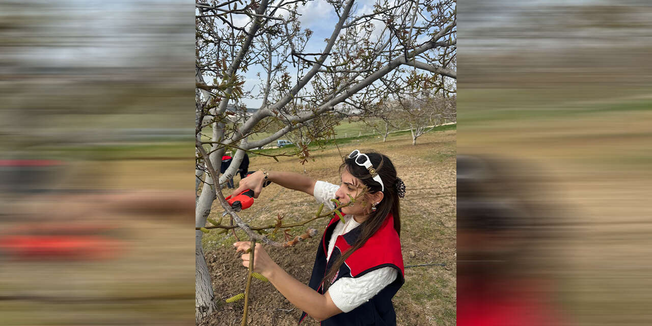 ureticilere-uygulamali-budama-egitimi-veriliyor-3