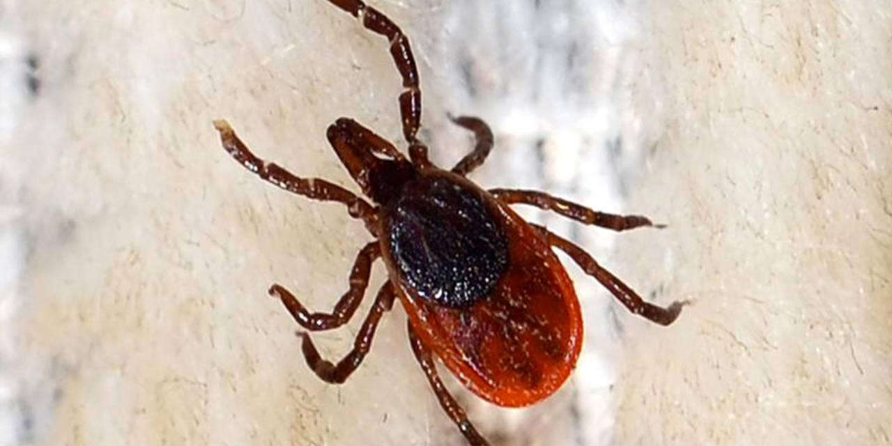 havalar-isindi-korkulu-ruya-geri-geldi-aman-dikkat-2