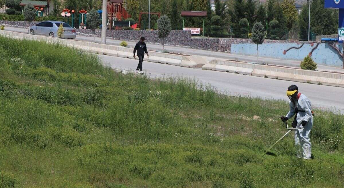 yahsihanda-yesil-alanlara-yogun-bakim1