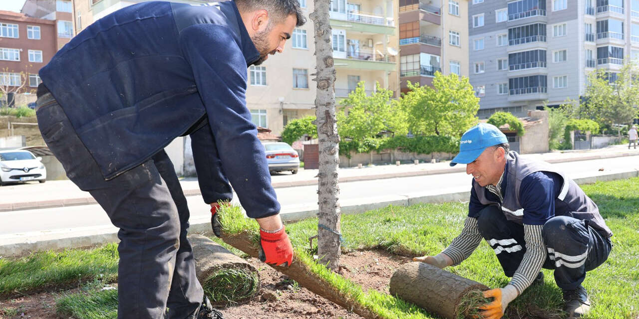 refujler-ciceklerle-renk-cumbusune-donusuyor3