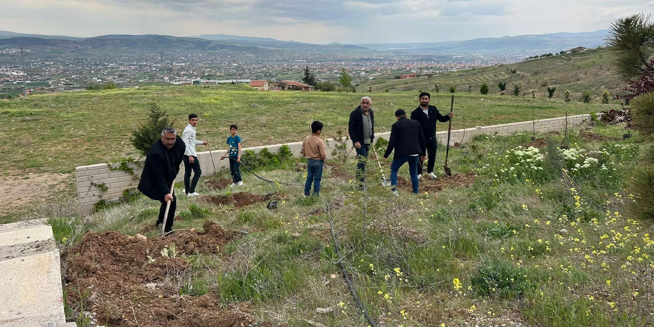 islami-degerler-kulliyesinde-agaclandirma-seferberligi2