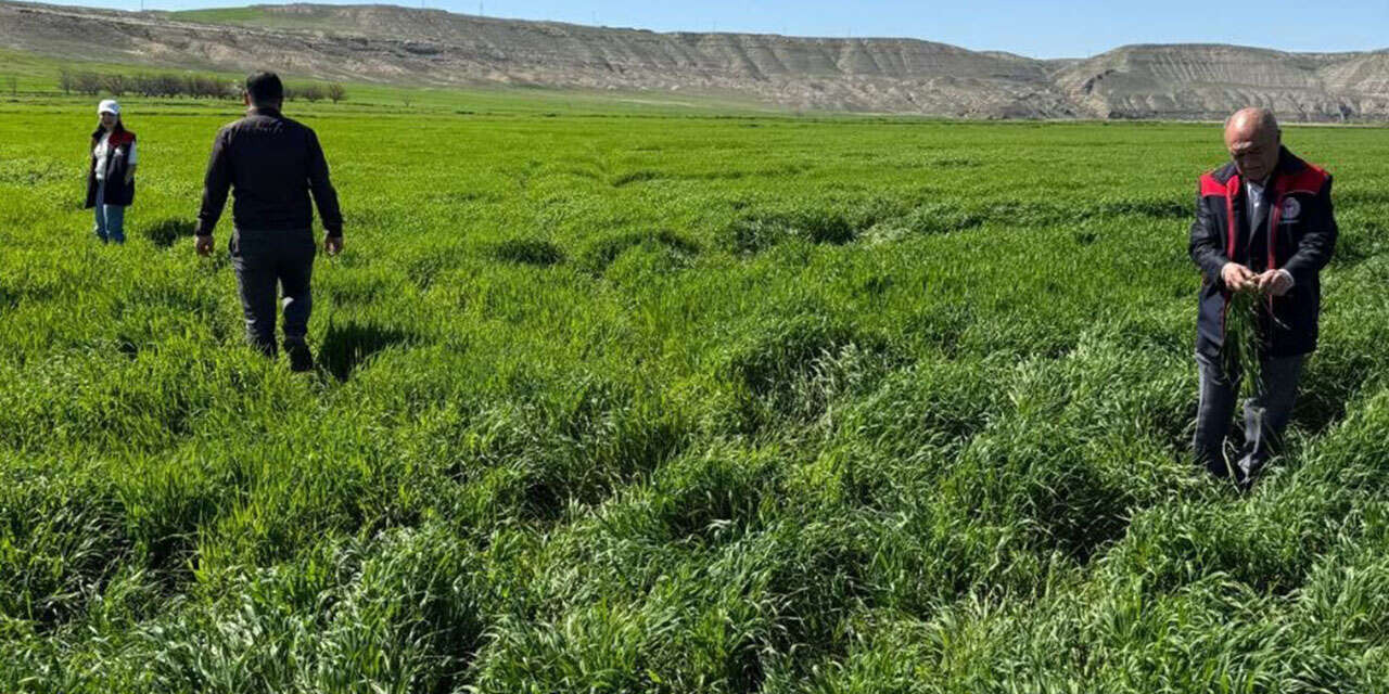 tarim-ekipleri-denetimlerini-siklastirdi-2