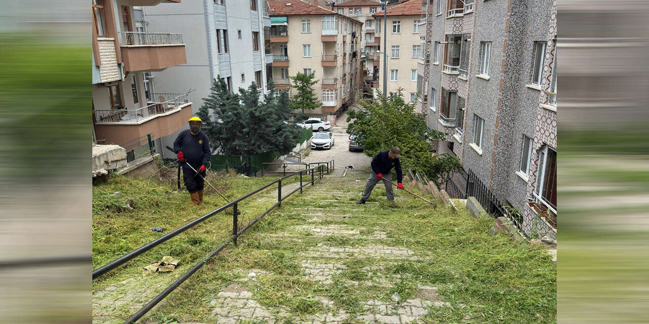 merdivenli-yol-otlardan-temizlendi2