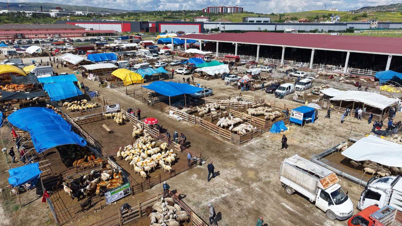 hayvan-pazarinda-bayram-mesaisi-sayili-saatler-kaldi