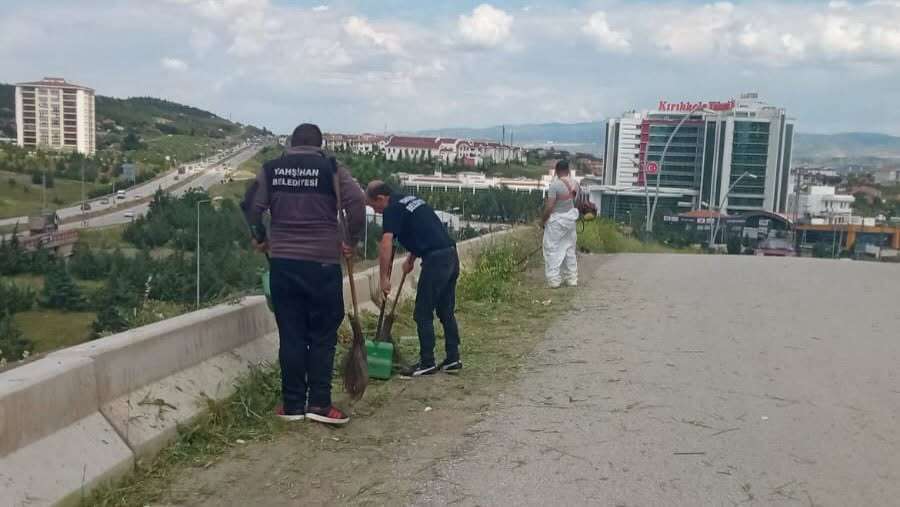 yahsihanin-her-bolgesi-otlardan-temizleniyor