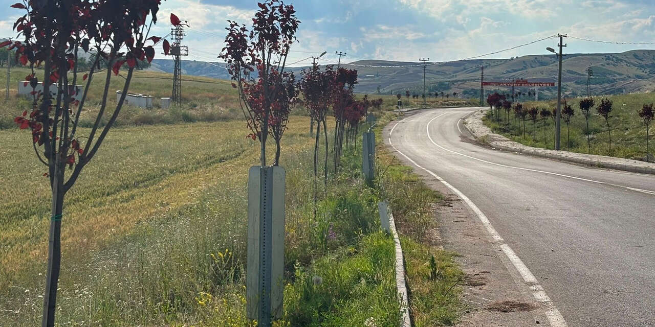 sulakyurtun-cehresi-degisiyor2