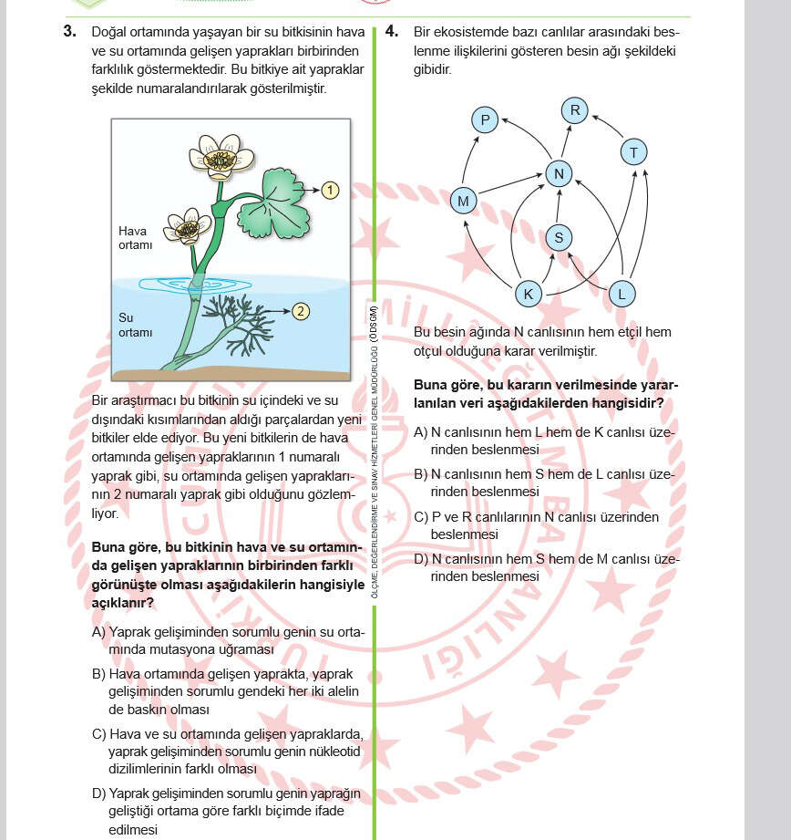 lgsde-sok-hata-iddiasi-30-yillik-ogretmen-sorulari-tek-tek-acikladi2