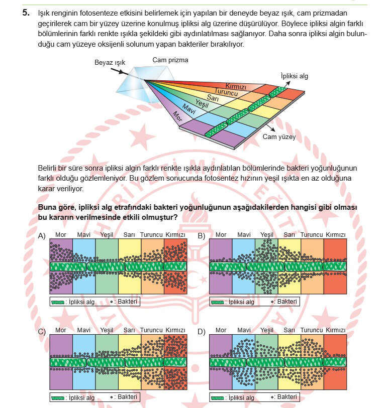 lgsde-sok-hata-iddiasi-30-yillik-ogretmen-sorulari-tek-tek-acikladi3