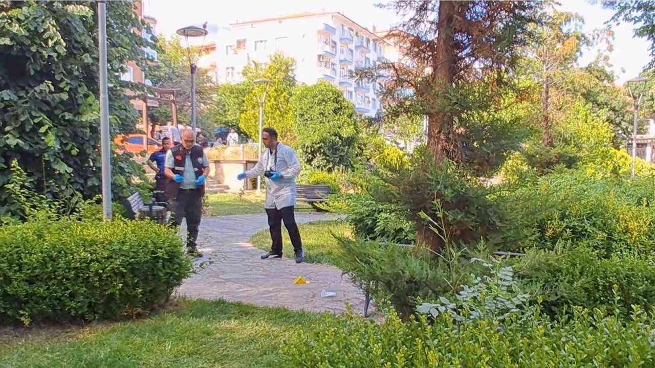 kiz-meselesi