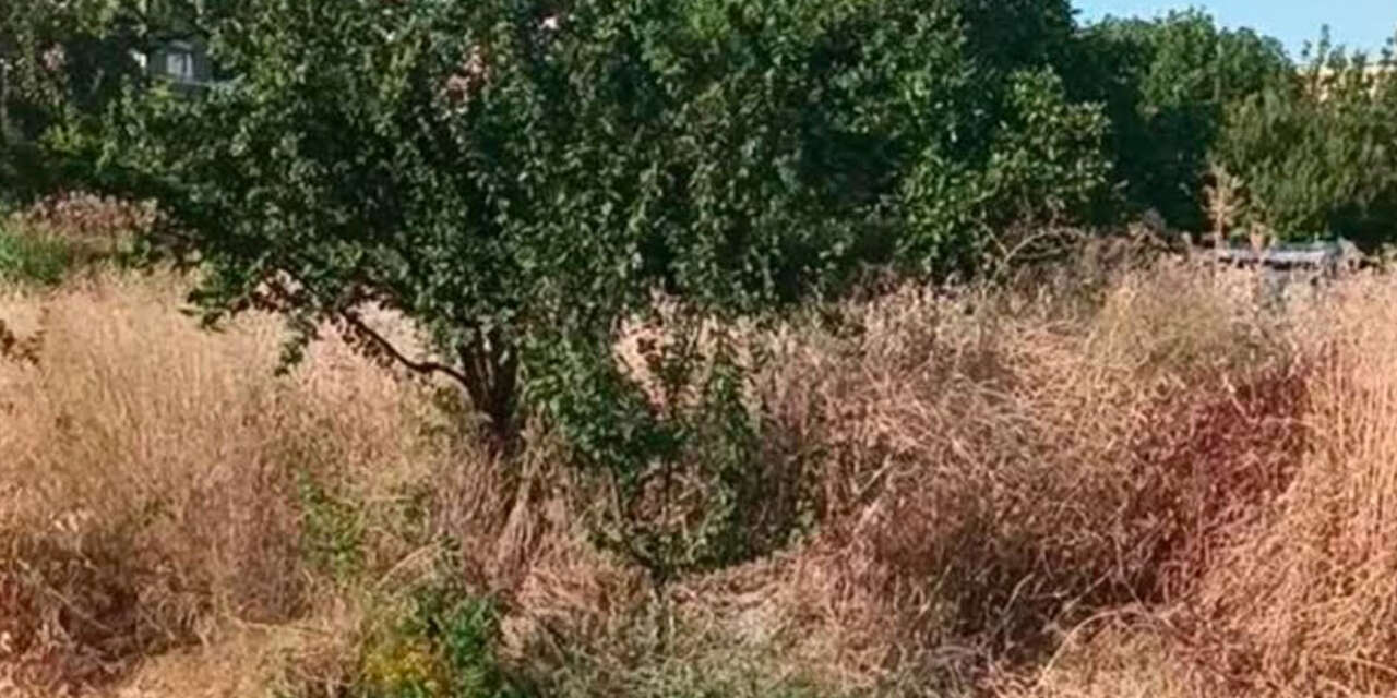 bir-kivilcim-buyuk-yangina-yol-acar-2