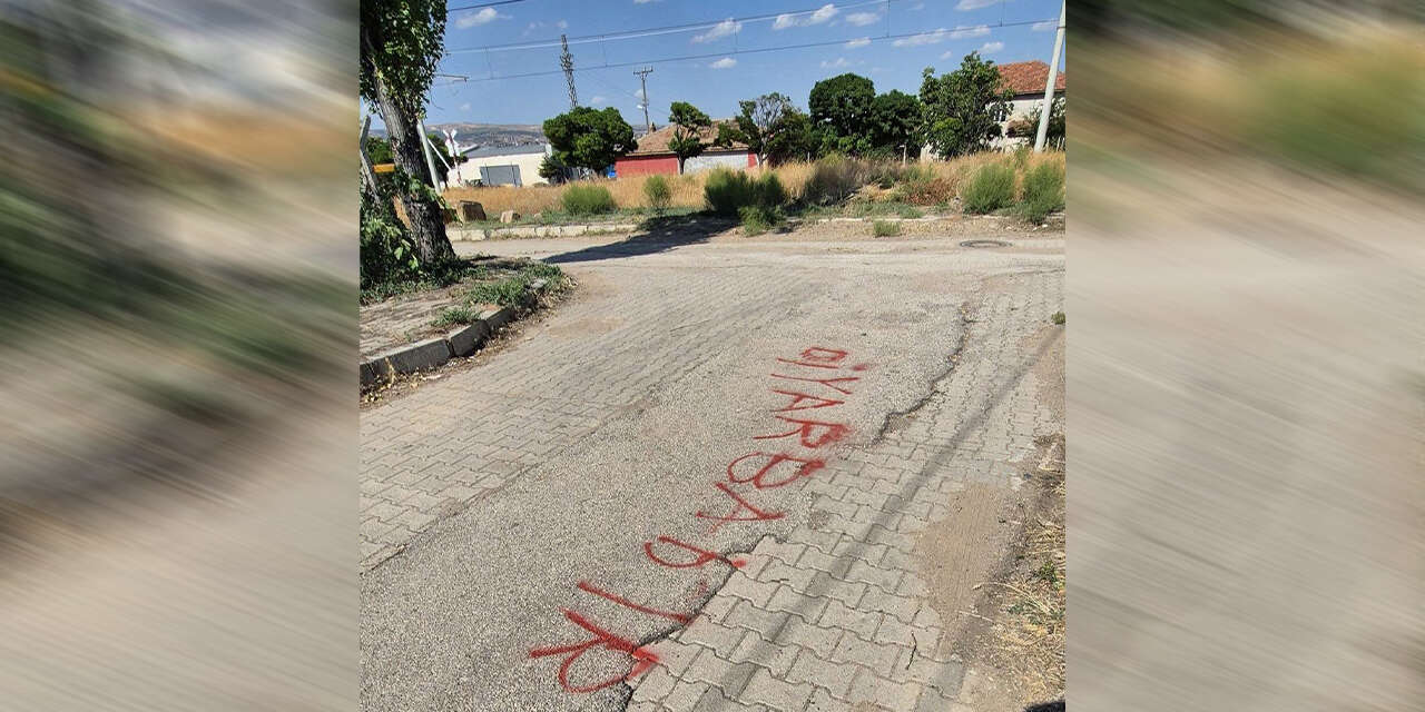 diyarbakir-yazisi-2