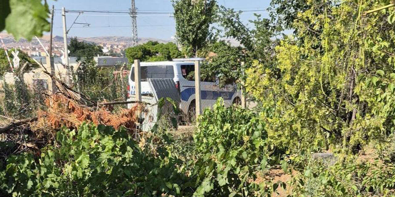 diyarbakir-yazisi-3