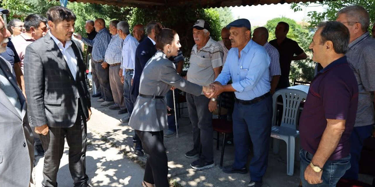 bahsili2