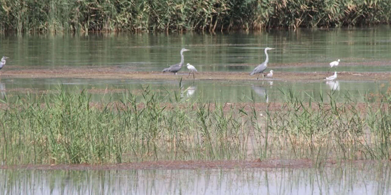doganin-hassas-dengesi-3