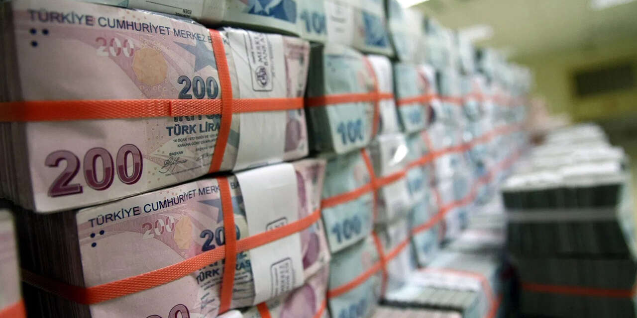 vatandaslik-maasi-geliyor-2