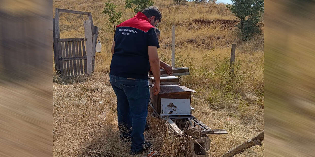 kirikkalede-arili-kovan-destekleme-basvurulari-basladi-2