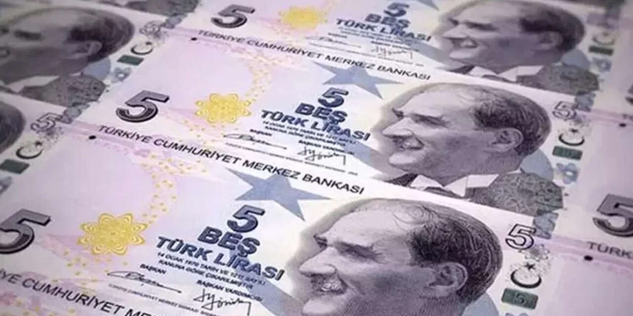 cebimizdeki-5-ve-50-tller-degisiyor-yeni-banknotlar-dolasima-girdi-1