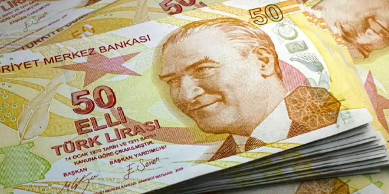 cebimizdeki-5-ve-50-tller-degisiyor-yeni-banknotlar-dolasima-girdi-2