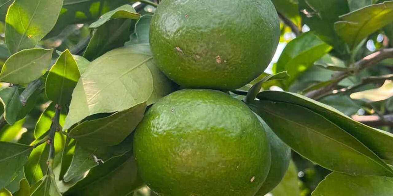 herkesin-yanitlamasi-gereken-sorulari-sordu-3