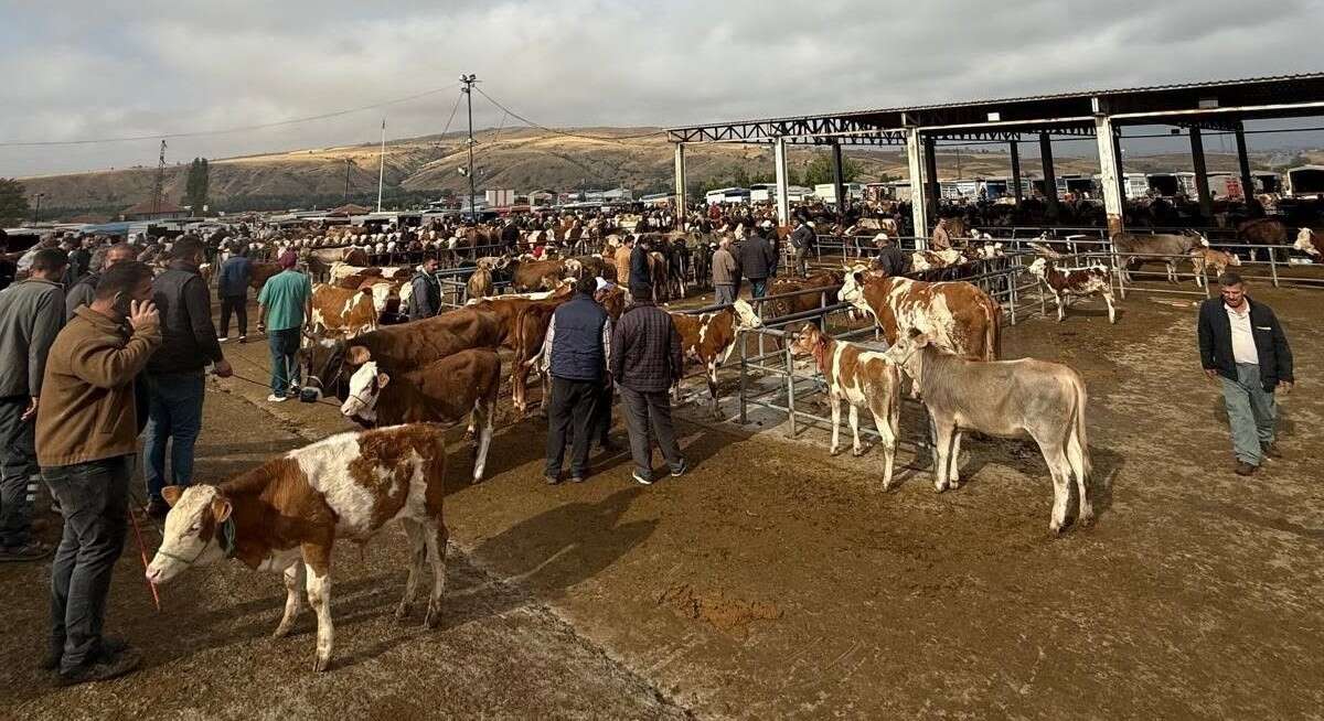 kirikkalenin-yani-basinda-sap-korkusu-hayvan-pazarlari-kapatildi