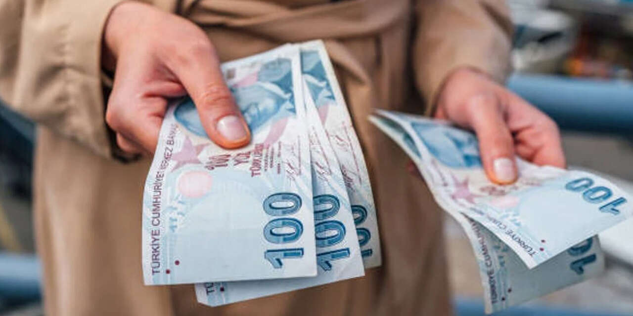 vatandaslik-maasi-icin-detaylar-netlesiyor-destekler-aileye-ve-bolgeye-gore-degisecek-1