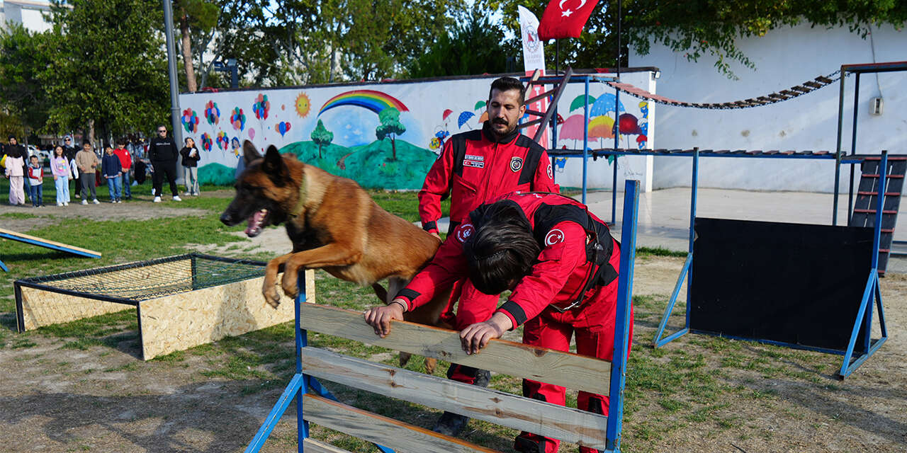k9-kopekler-hunerlerini-sergiledi