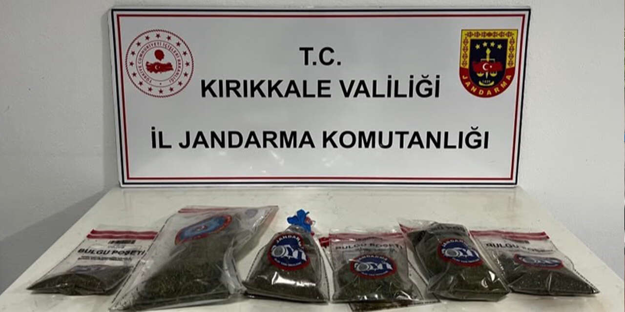 narkotik-kopegi-evin-bir-anda-tepki-verdi-2
