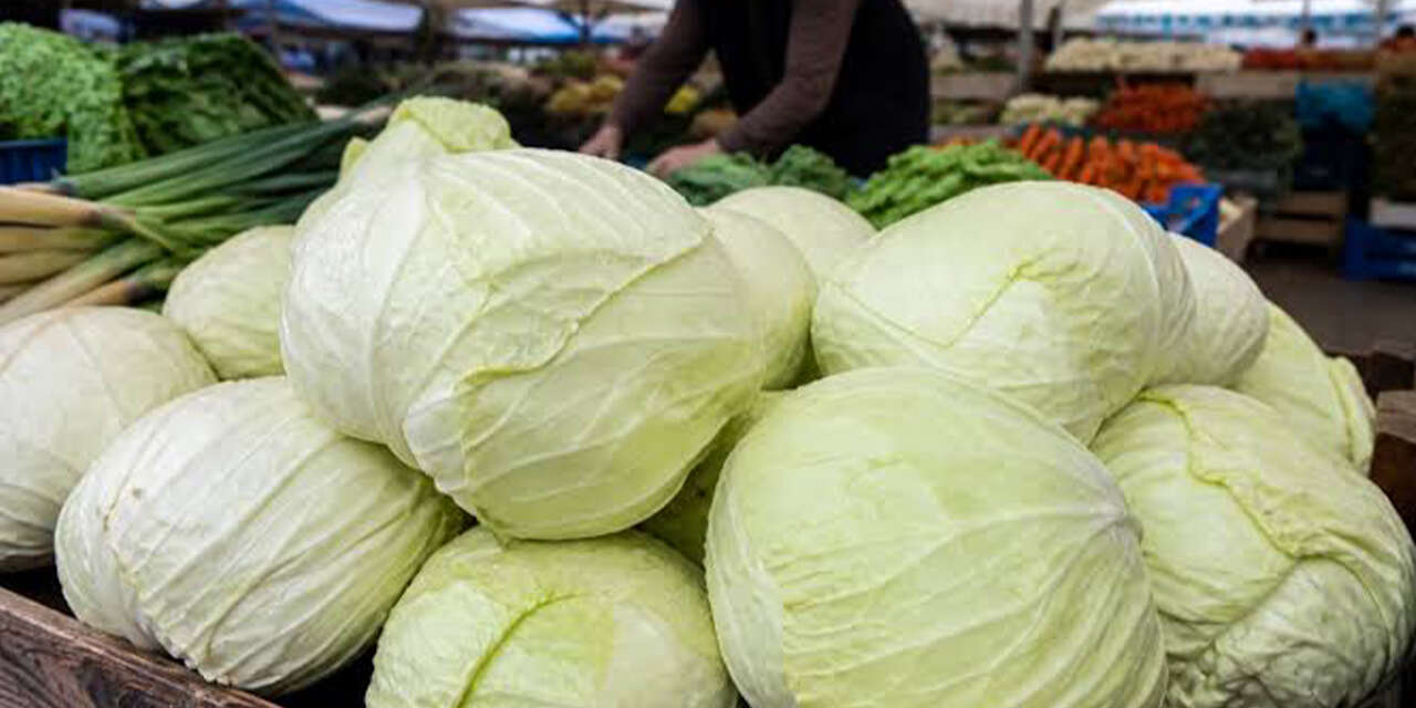 sonbahar-sofralarinin-gozdesi-geri-geldi-lahanayla-hangi-yemekler-yapilir