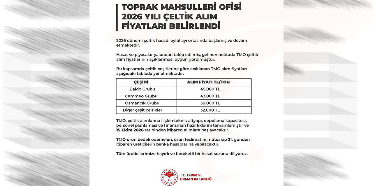 celtik-alim-fiyatlari-belli-oldu-1
