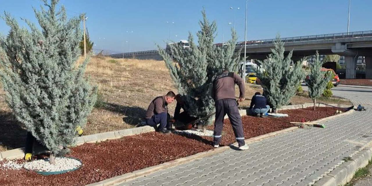 yahsihanin-cadde-ve-yesil-alanlarinda-bakim-mesaisi-2