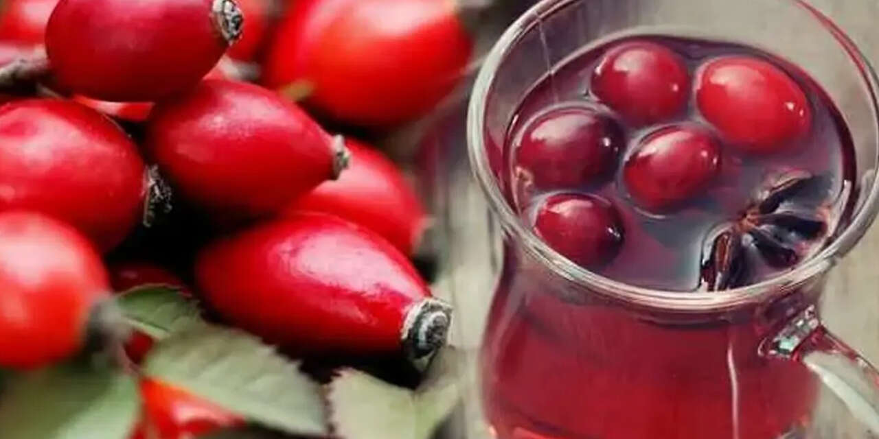 kusburnunun-faydalari-neler-2